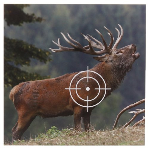 shoot-club 50 Tiermotiv Zielscheiben Hirsch Format 14x14 cm