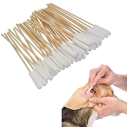 Hunde Wattestäbchen,Ohrreiniger für Hunde,Hunde Wattestäbchen Ohrreiniger,Ohrenreiniger Hund,Größe Haustiere Ohrreiniger Lang,Ohrreinigung für Hunde,Ohrreiniger Ohrreinigungsstäbchen,50 Stück