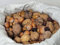 Igart Futter für Eichhörnchen und Vögel 10kg | Studentenfutter | Walnüssen, Haselnüssen, Eicheln, Hagebutten