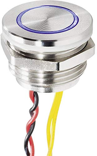 Renkforce 1227548 Klingeltaster beleuchtet, mit Piezo 1fach Edelstahl, Blau 24 V/0,3 A