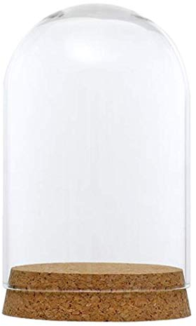Unbekannt Cloche en verre transparent pour terrariums grasses avec bouchon en bois et liège pour la maison, le bureau, la décoration de table, Bois dense Verre, 8x12cm