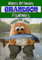 Grandson Fishing Birthday Card – Fishing Nut - Full Colour Inside = Posted Same Day!