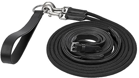 Start Führstrick Pferd 5,4 m – robuster Anbindestrick aus Gurtband ohne Stopper – Longierleine mit stabilem Karabinerhaken – strapazierfähige Führleine für Training & Stall (Leder Soft)