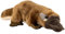 Carl Dick Schnabeltier ca. 30cm. Plüschtier, Stofftier, Kuscheltier 3698