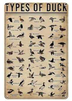 Duck Knowledge Hunting Decor Metal Poster - Types of Duck Breeds of Duck Vintage Metal Tin Sign - 12x8 Inches Retro Tin Sign Duck Hunting Accessories Duck Decor For School Club Hunting Lodge Cafe