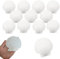 TYEQWT Blanc Coquilles Saint-Jacques 12 Pièces, 10-12cm Naturel Grand Coquille, Décorations de Coquille Coquillages, Coquilles de Première pour Mariage de Plage et Océan Crafts la Décoration