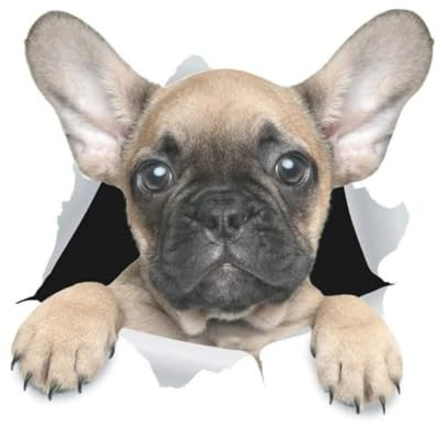Französische Bulldogge Aufkleber, 3D Durchbruch-Design, Wasserfest, Reflektierende Aufkleber für Laptop, Kühlschrank, Auto, Stoßstange und Fenster (15cm/5.9 Inch)