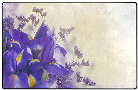 MONTOJ Purple Iris Hortensien Bouquet Schuhschaber, Teppich für Wohnzimmer, Schlafzimmer, Heimdekoration, Teppich, Polyester, 1, 31 x 20 inch