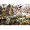 murando - Papier peint panoramique nature 250x175 cm - Revêtement mural décoration salon - Design moderne - Marron blanc beige - Feuilles les plantes nature tropical jungle forêt b-C-0789-a-a