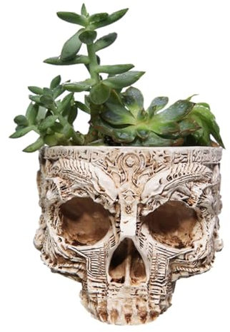 Jorzer Blumentopf mit Totenkopf-Motiv Totenkopf-Pflanzgefäß aus Kunstharz Skelett-Blumentopf Garten-Sukkulenten-Töpfe für Zuhause Büro Schreibtisch-Dekoration