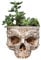 Jorzer Blumentopf mit Totenkopf-Motiv Totenkopf-Pflanzgefäß aus Kunstharz Skelett-Blumentopf Garten-Sukkulenten-Töpfe für Zuhause Büro Schreibtisch-Dekoration