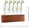 Riisoyu 6 Reagenzgläser Blumenvase, Vermehrungsstation Pflanzen mit Reinigungsbürste Kleine Vasen mit Holzständer Propagation Station Glas Ableger Hydroponik Pflanzen für Tisch Hause Büro Wohnzimmer