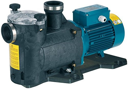 Calpeda Pompa Piscina con Filtro MPC71m/A 1,8kW 2,5Hp monofase 230V 50Hz MPCM