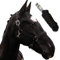 Halfter für Pferde mit Strick | Führstrick Pferd Halfter | Halfter Pony, Vollblut, Full, X-Full mit Strick (Schwarz, Warmblut)