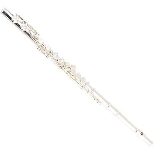Anfänger Flöte Linkshänder-Flöteninstrument 16-Loch Geschlossenes Loch Versilberte C-Tonart Professionelle Anfängerflöte
