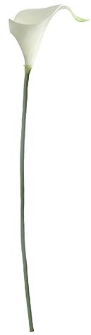 IEEDFJKK Künstliche Hochzeitsblumen – schöne und realistische Calla Lilien für besondere Tage und hohe Anpassungsfähigkeit für eine große Auswahl, Gelbes Staubblatt weiß