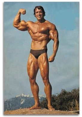 KIUYGPPJ Poster, Motiv: Schauspieler Arnold Schwarzenegger, Bodybuilding-Poster, dekorative Malerei, Leinwand, Wandposter und Kunstdruck, moderne Familienschlafzimmer-Dekoration, Poster, 20 x 30 cm