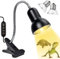 Sunshine smile Schildkröten Lampe,25W 50W Wärmelampe Schildkröten,Zeitgesteuerte Temperaturregelung Schildkröte Wärmelampe,Wärmelampe für Schildkröten Terrarium,Reptilien Terrarium LampeWärmelampe