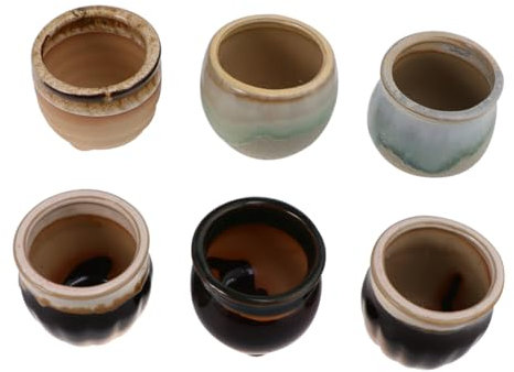 CAXUSD 6 Pièces Pots de Fleurs Mini-Pots de Plantes Pot de Fleurs d'extérieur potterie Pot de Fleur Interieur Pots pour Plantes Pots en céramique colorés Décorations de Jardin
