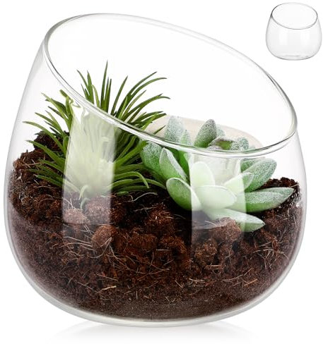 Kisangel Clear Slant Cut Bowl Glass Vase Decorative Glass Bowl Vase Glass Terrarium Candle Holder Flower Vase Decorative Bowl Vase For Indoor Succulent Planters