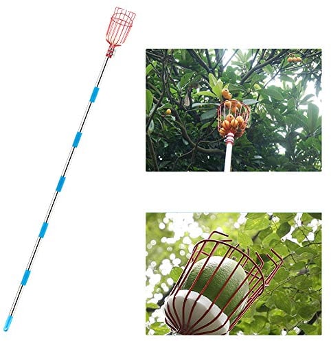 CestMall Fruit Picker-Werkzeug, 9-fuß-obstpflücker mit leichten Aluminium-teleskopstangen und Korb, Obst Grabber leicht zu montieren