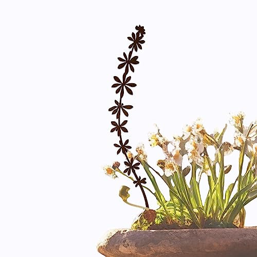 Cortenmeister – Decoración de jardín para exteriores, de acero corten, para cualquier época del año, flor de elfo