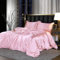 DXHOME Bettwäsche Set 135x200cm 4teilig Satin Rosa Hellrosa Pink Glänzend Seiden Bettwäscheset Sommer Uni Glatt Glanzsatin Luxus Microfaser Bettbezüge und Kissenbezüge 80x80 cm mit Reissverschluss