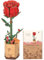 ROBOTIME Flor Puzzles 3D Madera, Maquetas para Construir Adultos, Maqueta Madera, Regalos para Mujeres en el Día de San Valentín & Cumpleaños, Flores TW042