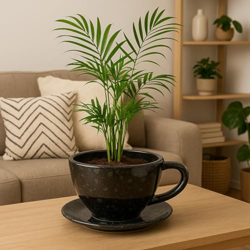 Pot de fleurs « Coffee Cup » - XXL - En céramique en forme de tasse avec anse et soucoupe - Fabriqué à la main et émaillé - Rouge foncé avec vernis réactif - Diamètre : 33,5 cm