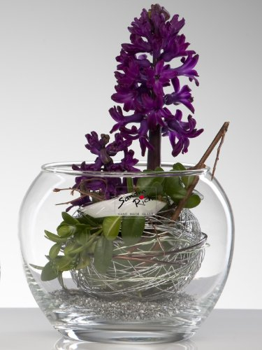 Glasschale FISH BOWL Glas Schale Glasvase Goldfischglas Ø 12,5 cm