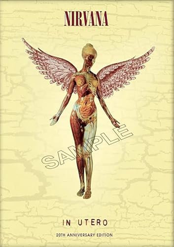 Nirvana Poster Vintage Rock Band Grunge Punk Rock Wandkunst Bild A4
