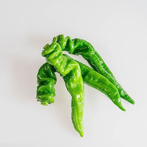 20 pcs chilli pflanze samen - herbs pflanztopf zimmerbonsai bonsai chilisamen chili chilipflanzen,carolina reaper,Capsicum annuum,jalapeno alte gemüsesorten samen pflanzensamen indoor