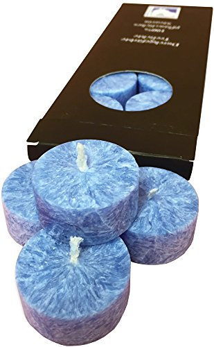Kerzenfarm plaristo Pflegelinie Palm Wax Teelichter mit 4,5 cm Durchmesser Glas klar Tee Light-Holder, blau, 10 Stück