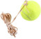 Hudora Tennisball An Schnur, Tennis Trainingsball, Tennistrainingsball Mit Elastischer Schnur Trainingszubehör, Tennistrainerball Und Gummiband, Trainingsseil, Tennisballtraining Mit Hochelastischem G