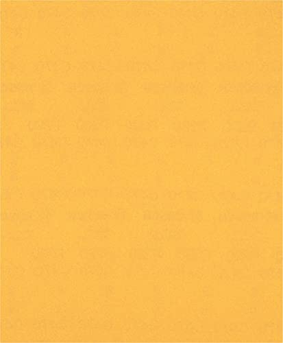 Bosch 1x EXPERT C470 Schleifpapier (für Farbe auf Holz, Hartholz, Ø 230x280 mm, Körnung 220, Professional Zubehör Handschleifen)