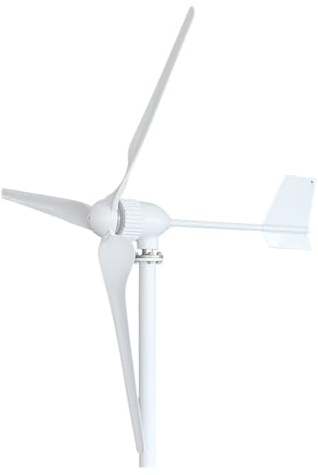 Turbina eolica, Generatore eolico ad asse orizzontale da 1000 W 1 kW con 3 pale m/s a bassa velocità del che avvia turbine eoliche(24V)