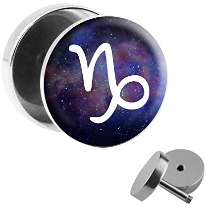 Treuheld® | Fake Plug Tierkreiszeichen Steinbock - Ø 10mm Bild Ohrstecker mit Motiv zum Schrauben - Chirurgenstahl Ohr Faketunnel Silber - Tunnel Ohrringe Ohrring Stahl Fakeplug Sternzeichen