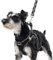 PUPTECK Step-in Dog Harness Small Dog No Pull Vest and Lead Set for Puppy Cats Outdoor Walking, Black S