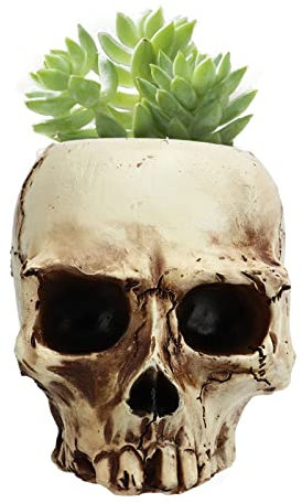 RXMORI Pot de fleurs en forme de tête de mort pour intérieur et extérieur, pot de fleurs succulentes en résine en forme de crâne, récipient pour plantes grasses d'Halloween pour décoration de maison