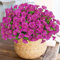 Weldomcor 10 Pezzi Flori da Esterno Artificiali Resistente ai raggi UV Fiori Finti Artificiale Arbusti Ramo Piante Artificiali per Patio Portico Finestra Scatola di Nozze Agriturismo Decor, Fucsia