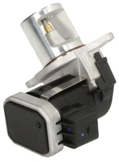 Delphi Technologies EG10485-12B1 EGR Valve