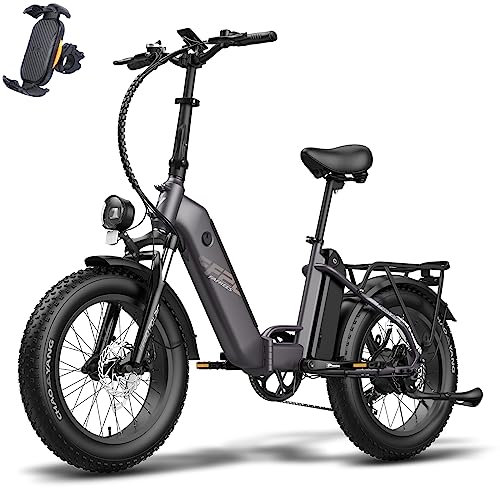 Fafrees StVZO FF20 Polar Damen E Bike Herren mit 48V 13,4Ah*2 Akkus 45km/h [ Offiziell ] 500W Elektrofahrrad Fatbike Klapprad 20 Zoll Erwachsene, Ebike Mountainbike 65N.m, MTB Elektro Fahrrad 150kg