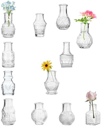 EylKoi Clear Glass Bud Vase Cute Mini Vases 12Pcs Flowers Vintage Small Glass Tiny in bulk Different Shape Modern Set Lovely for Decor Table Wedding Home Table Centerpieces Dinning Party