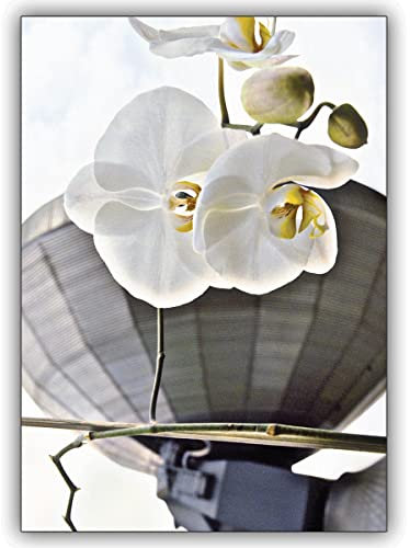 Christian Im 5er Set: Fotokunst Blumen Klappkarte: Orchideen vor dem Radar