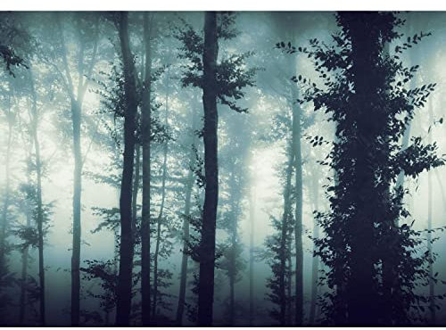 Runa Art Fototapete Wald Nebel Modern Vlies Wohnzimmer Schlafzimmer - Made in Germany - Blau 9291010c