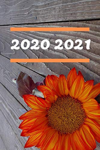2020 2021: kalender 2020 2021 20 Monate Wochenplaner Monatskalender