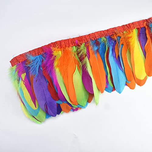 Gänsefeder-Bordüre, 1 Meter/Los, gefärbte echte Gänsefeder, Fransen, Bänder für Kleid, Rock, Stoff, Gürtel, dekorative Kleidung, gemischte Farbe