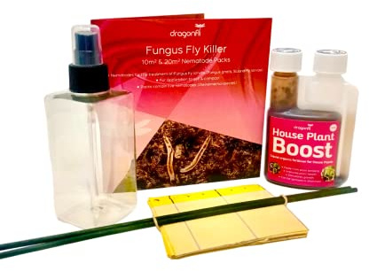 Dragonfli House Plant Care Bundle: Fungus Fly Killer Nematodes, Sticky Traps, House Plant Boost Fertiliser + Free House Plant Mister - Let Your House Plants Prosper