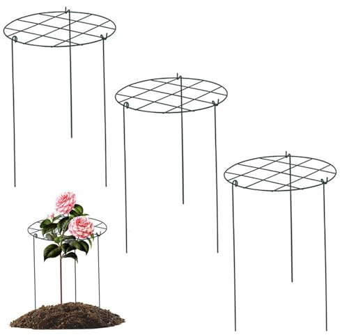 Uanqfegy Pfingstrosenstütze, 3 Stück, 14 x 18 Eisen, zum Durchwachsen in Käfigen – Pflanzenstütze für Rosen, Tomaten, Orchideen, Weinreben