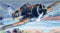 Commonwealth CA-13 Boomerang Modellbausatz